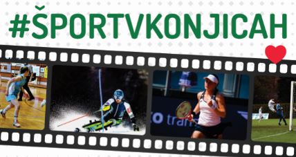 sportvkonjicah